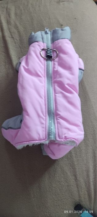 Комбинезон для собаки