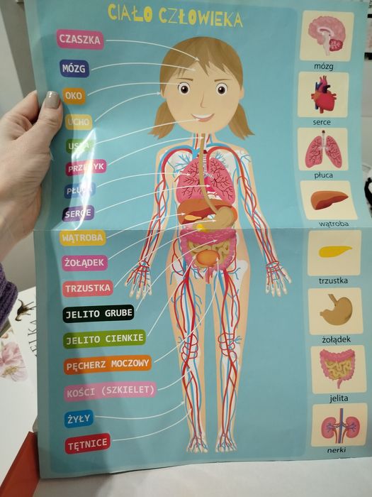 Puzzle i atlas ciało człowieka