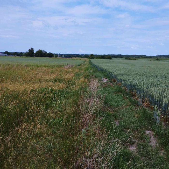 Земельна ділянка  під будівництво