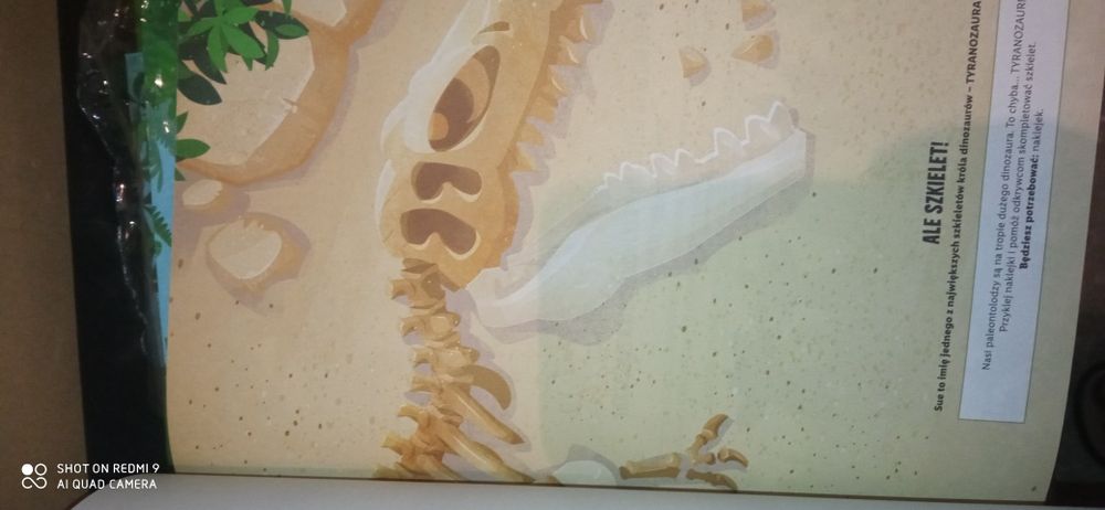 Na tropie dozaurów ksiazka 4 sztuki