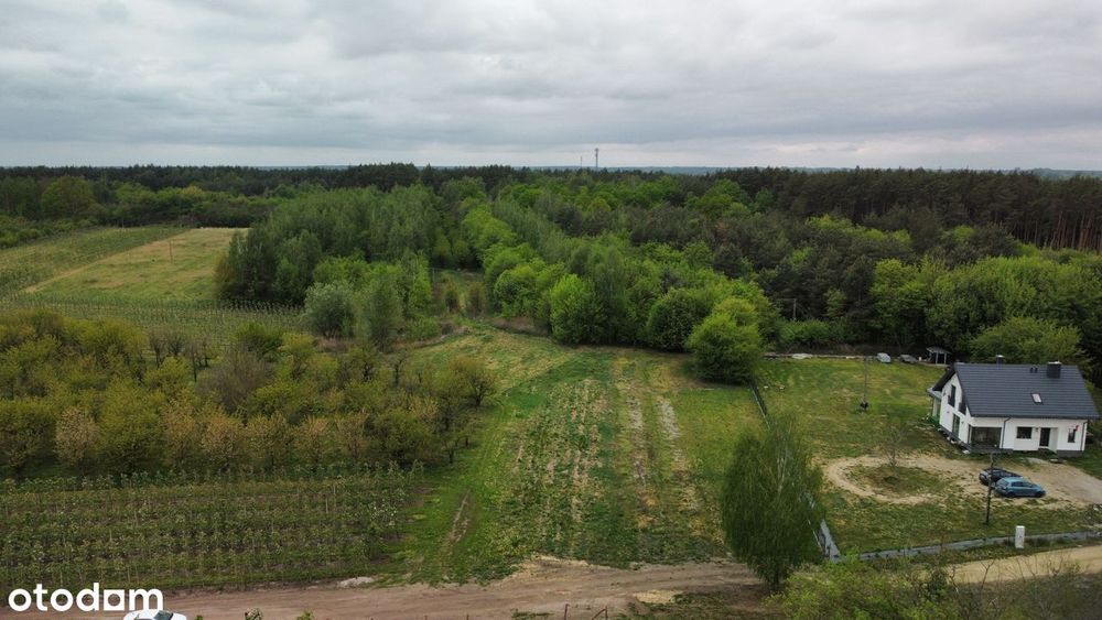 Działka 1087m² z WZ| Sobienie-Jeziory | Las | 40km od Warszawy - Widok 3