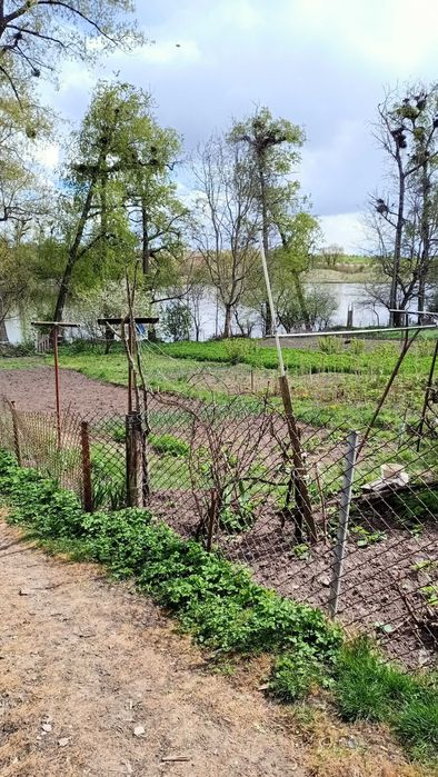 Квартира поблизу Рівного