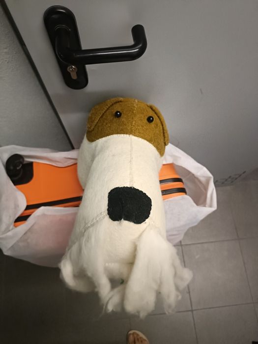 Cão decoração parede