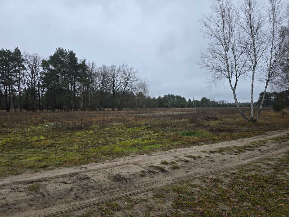 Земельна ділянка на озері Світязь