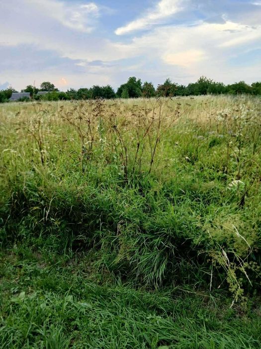 Продаж земельної ділянки 18 соток у с. Стуфчинці (Хмельницький район) - View 4