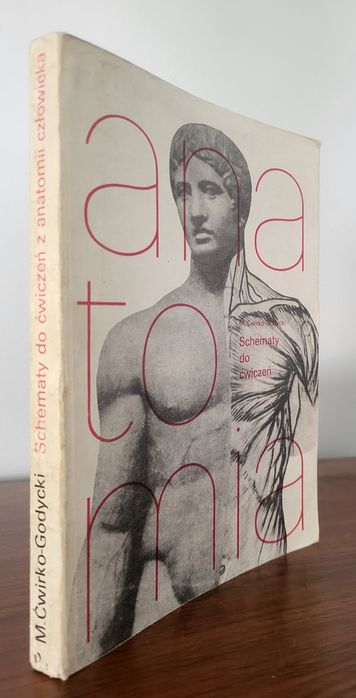 Anatomia - Schematy do ćwiczeń z anatomii człowieka