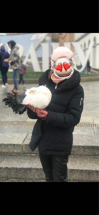 Курточка зимова курточка демісезонна