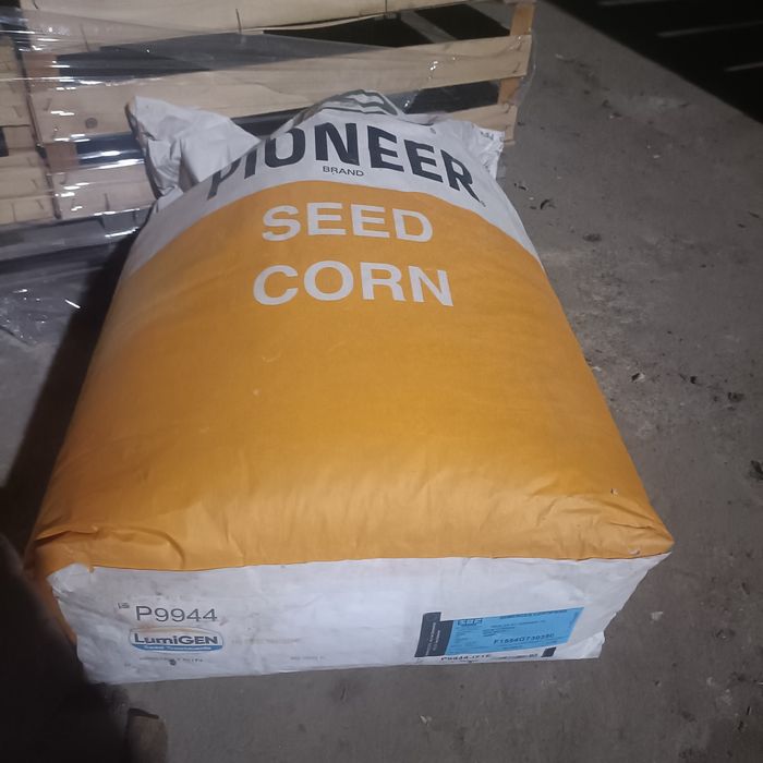 Pioneer 9944 nasiona