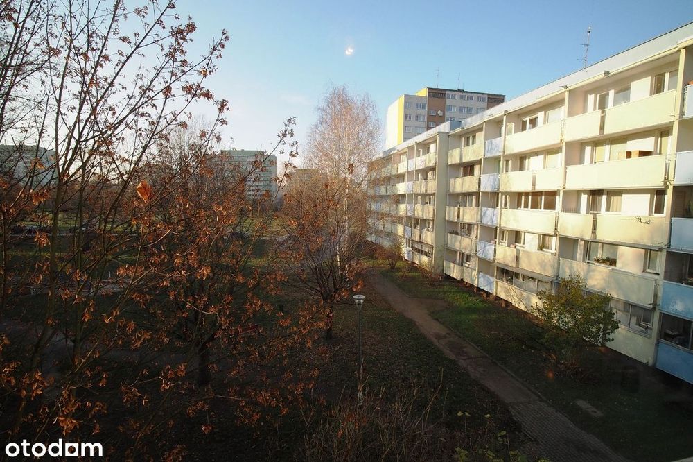 Dużakawalerka blisko CH Magnolia