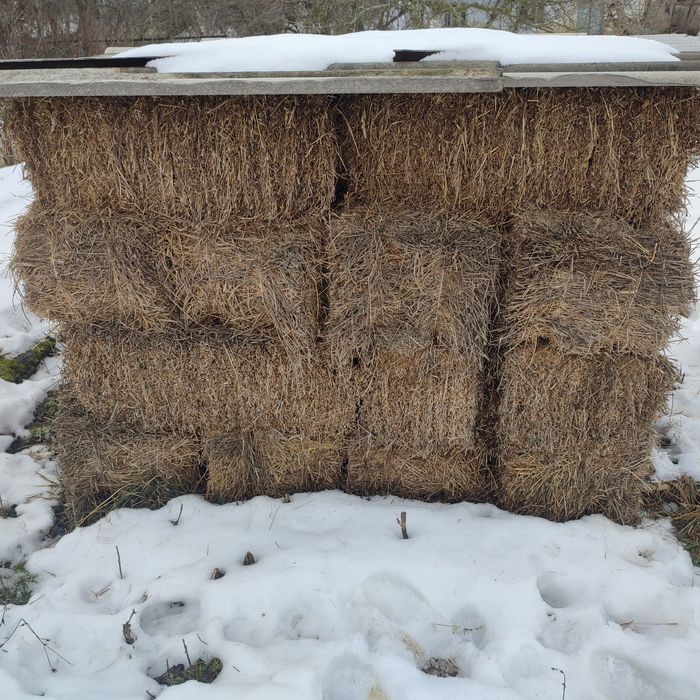 Сіно люцерни з травою в тюках
