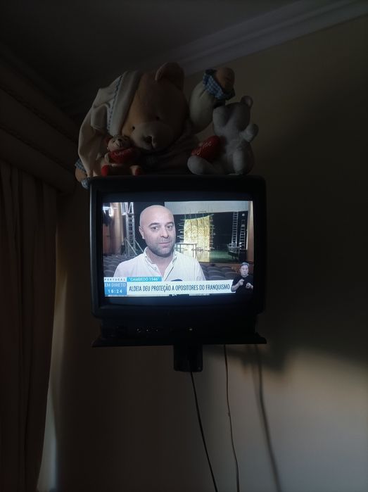 BLUESKY Brand Television – 35 cm with Universal Remote Control*64752260221569124