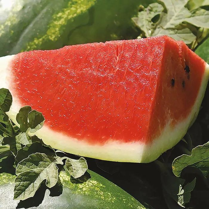 Насіння кавуна ВДЛ5003 АРАШАН F1 1000 шт VDL5003 ARASHAN F1 Семена