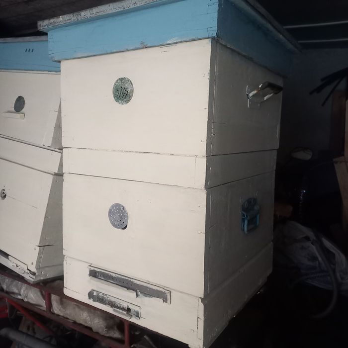 Ульи на 2а яруса