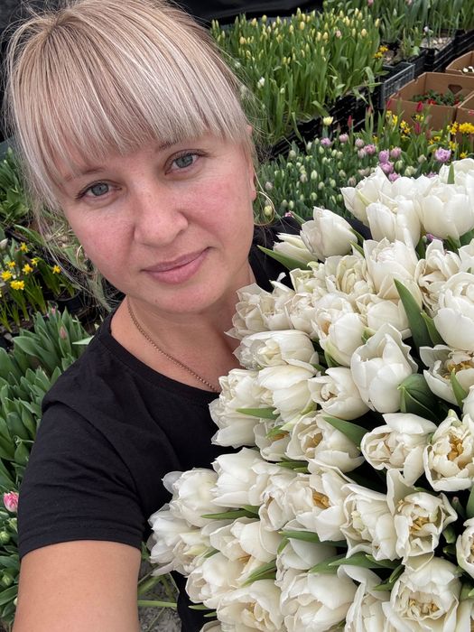 Тюльпани опт до 8 березня