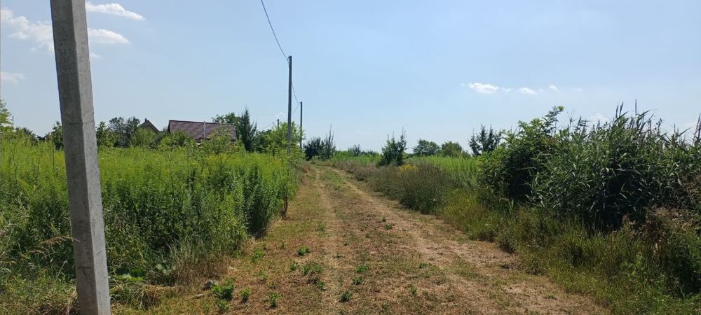 Земельна ділянка в с. Іванків