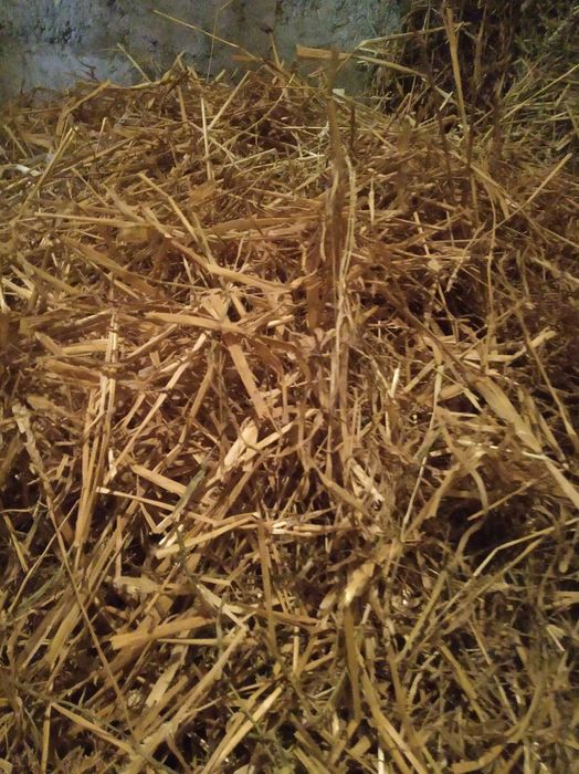 Продам сіно в тюках