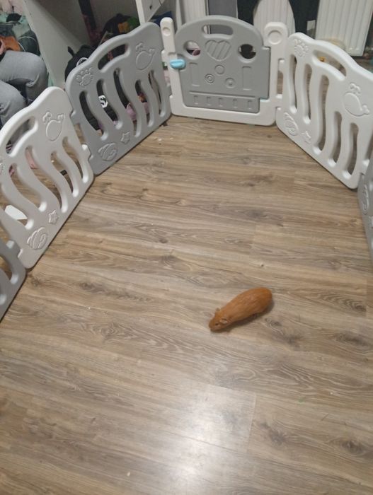 Kojec dla dzieci