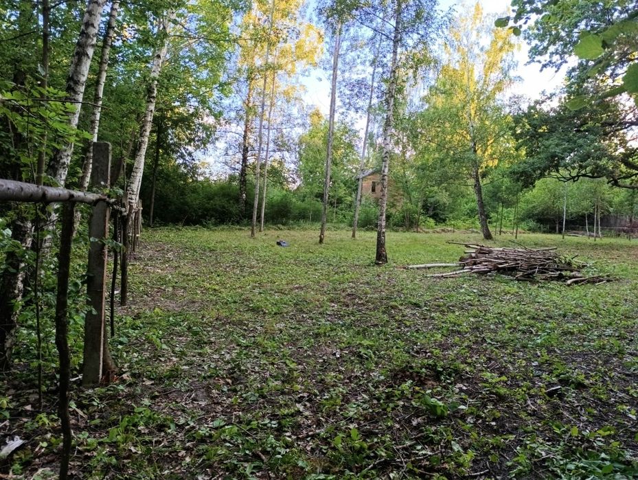 Земельна ділянка під лісом не далеко від Києва