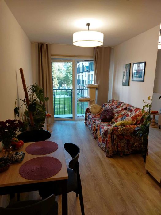 36m, ul. Okulickiego, bezpośrednio, pet friendly.