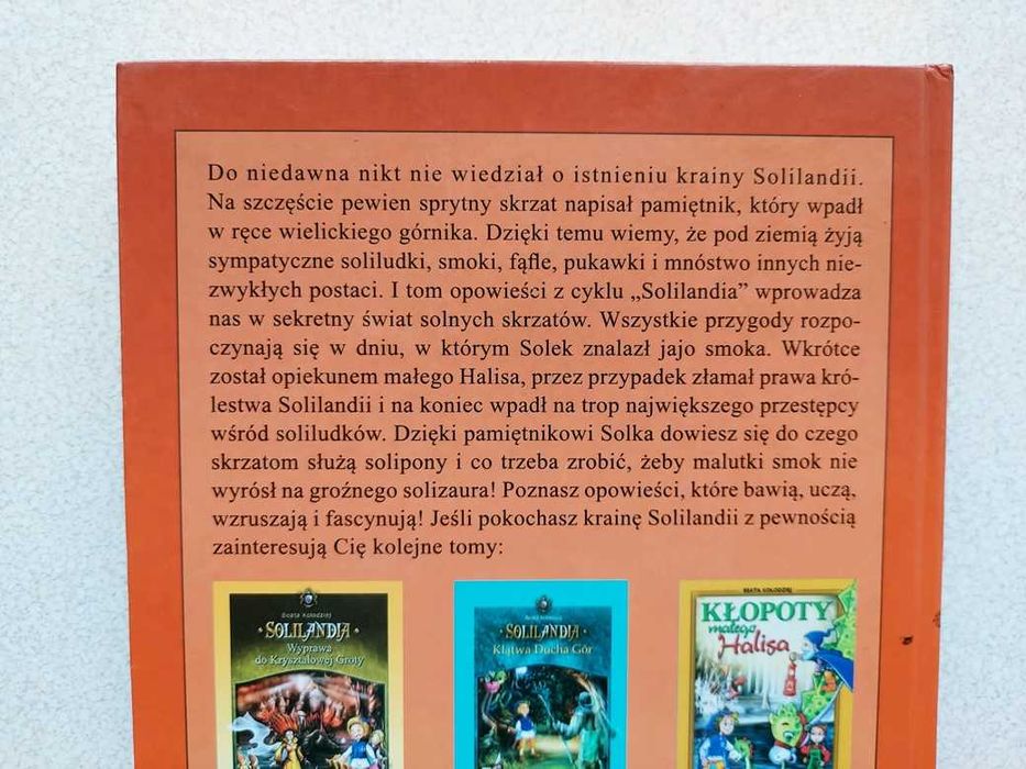 Pamiętnik wielickiego skrzata Solilandia Beata Kołodziej