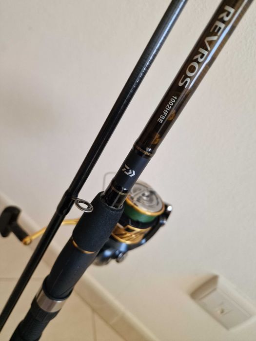 Cana de pesca conjunto Daiwa