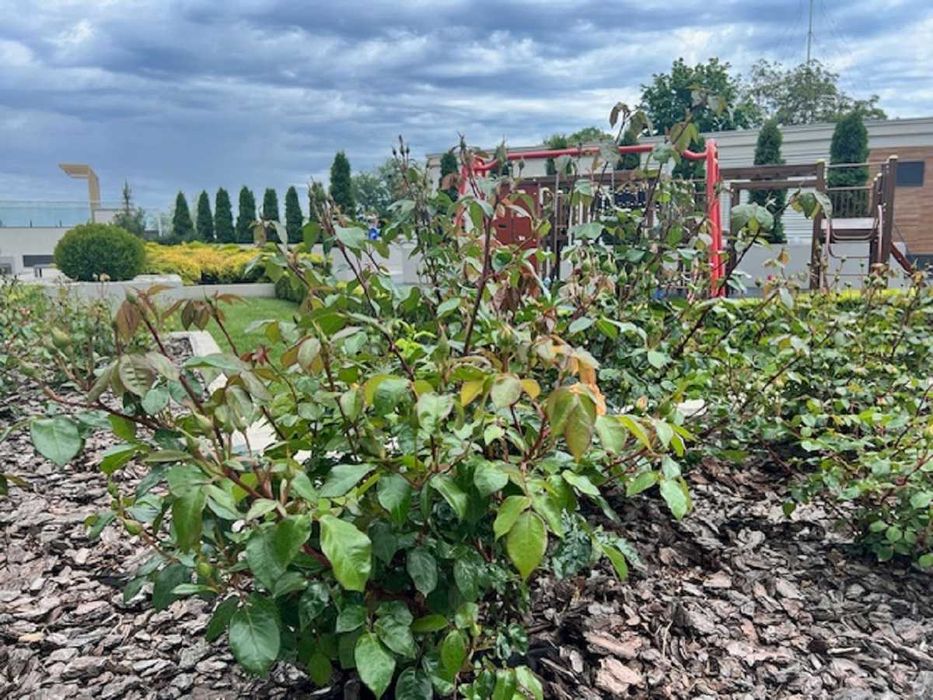 1-комнатная квартира по адресу Маячный пер. (площадь 30 м²) - Atlanta.ua - фото 17