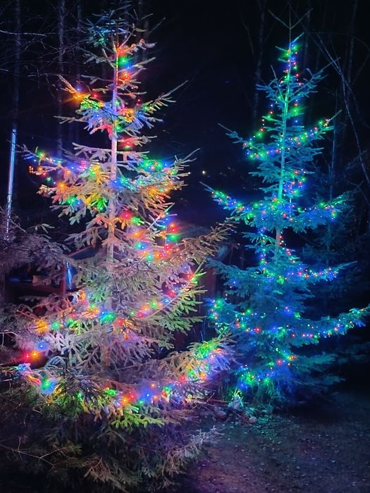 Domek z kominkiem,jacuzzi,sauna,jezioro