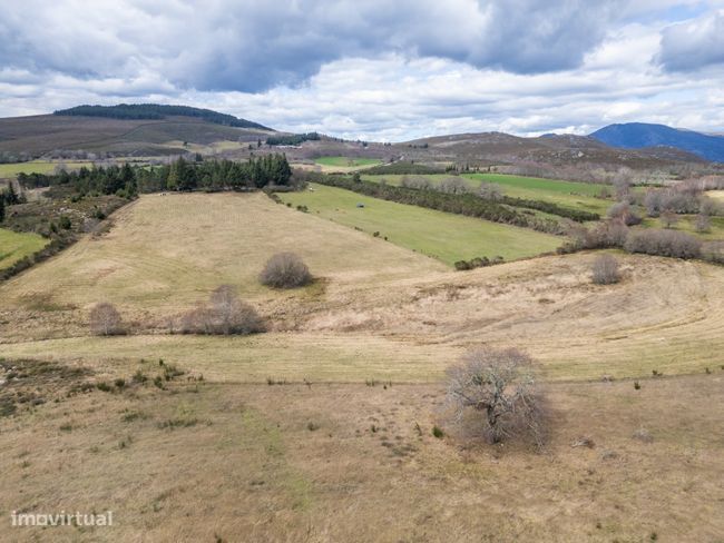 Fantástico terreno Agrícola - Chã, Montalegre