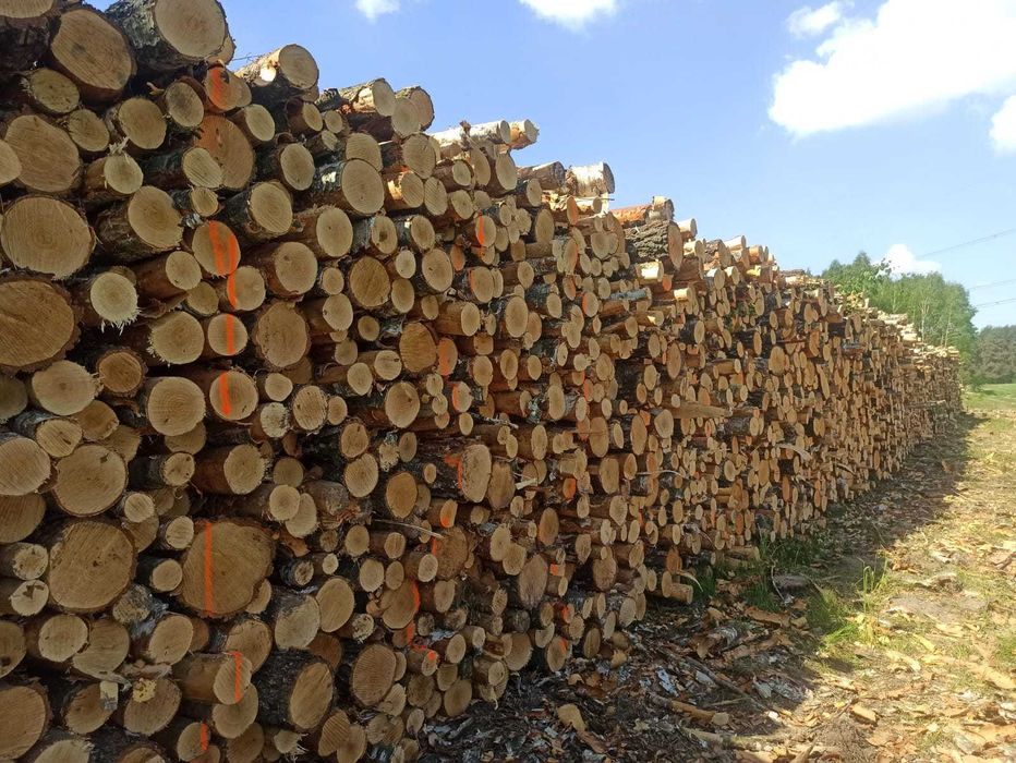 Drewno Kominkowe / Opałowe Osika , SOSNA pocięte / połupane  do pieca