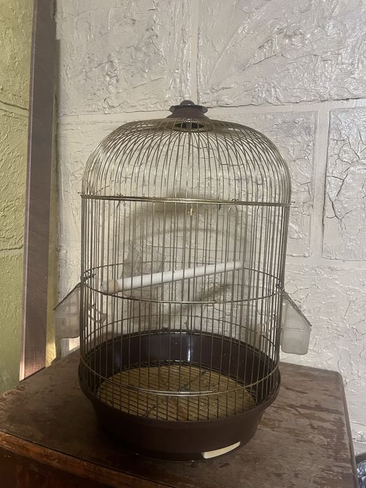 Клетка для птиц круглая.