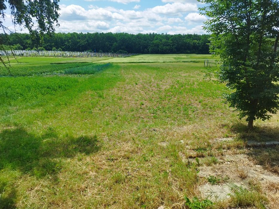 Продається цегляний будинок