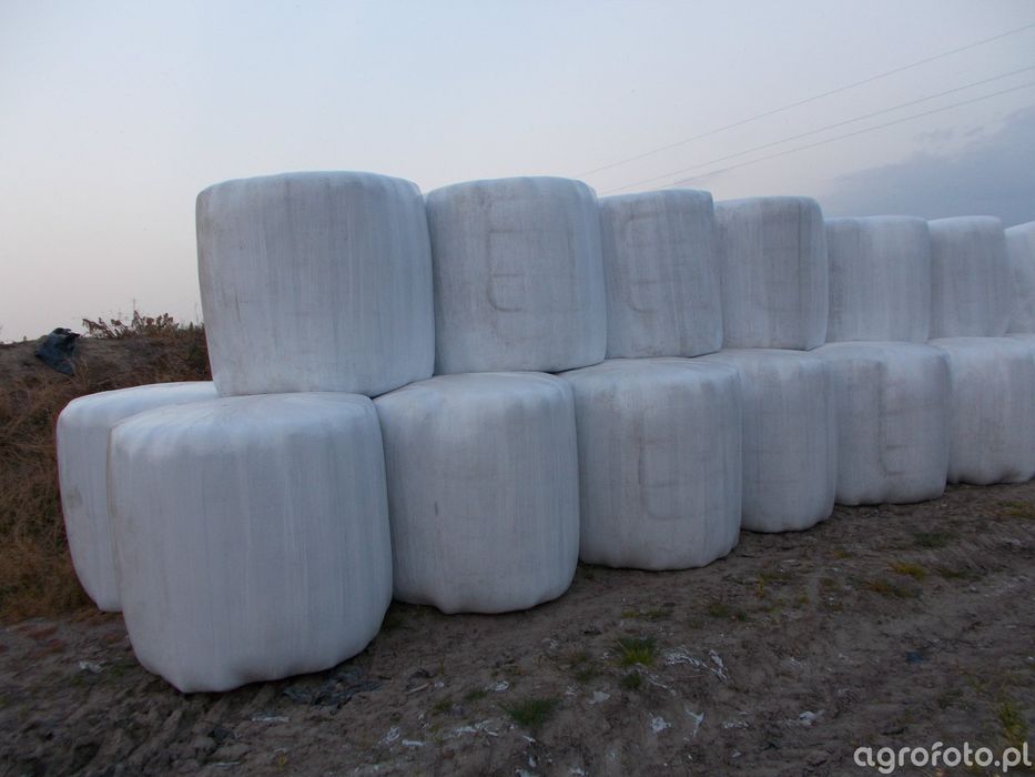 Mieszanka gorzowska sianokiszonka kiszonka baloty bele