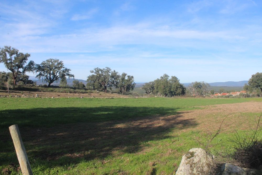 Terreno Aldeia Santa Margarida