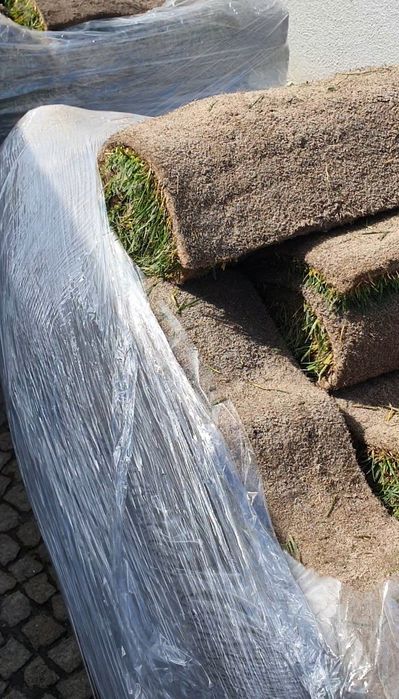 Relva natural Tapete