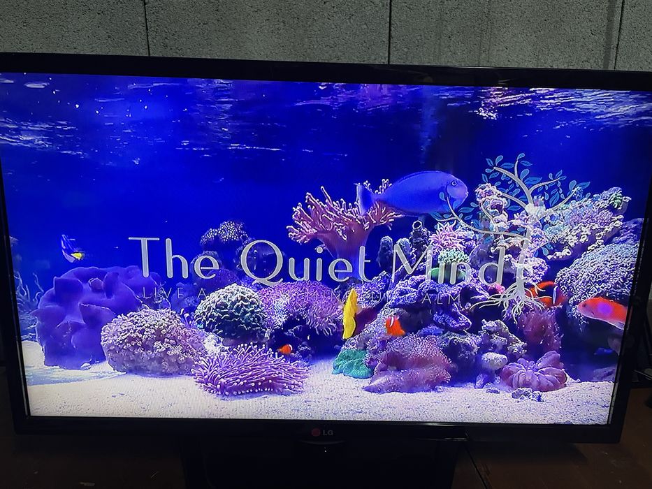 TV LED LG 32 Polegadas