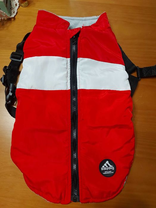 Acessórios para cães