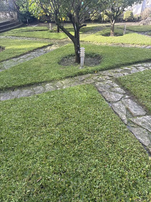 Manutençao e costruçao de jardins