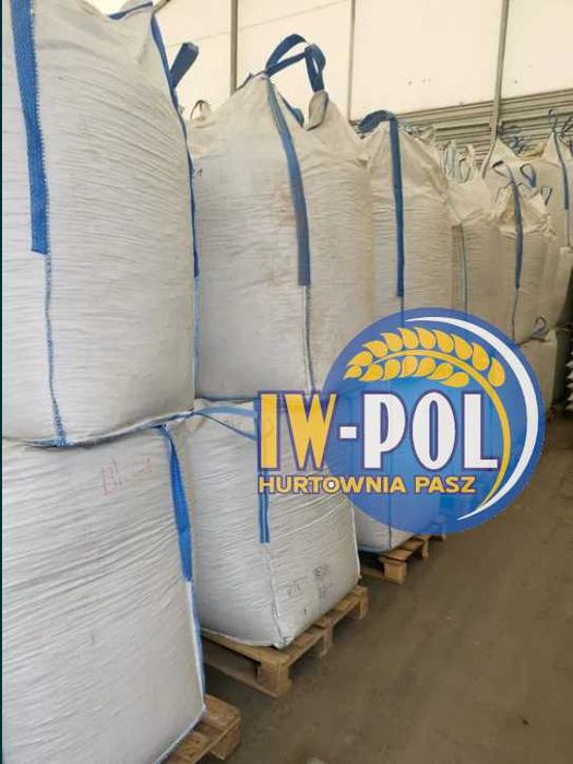 Śruta Rzepakowa z atestem - TYCHY