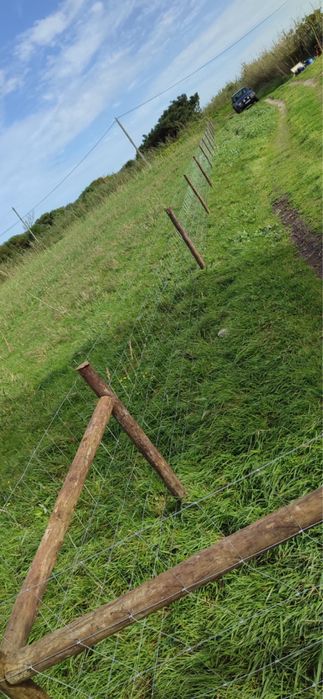 Cercas e vedacao de terrenos