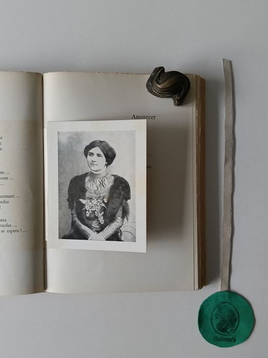 Sonetos, Florbela Espanca