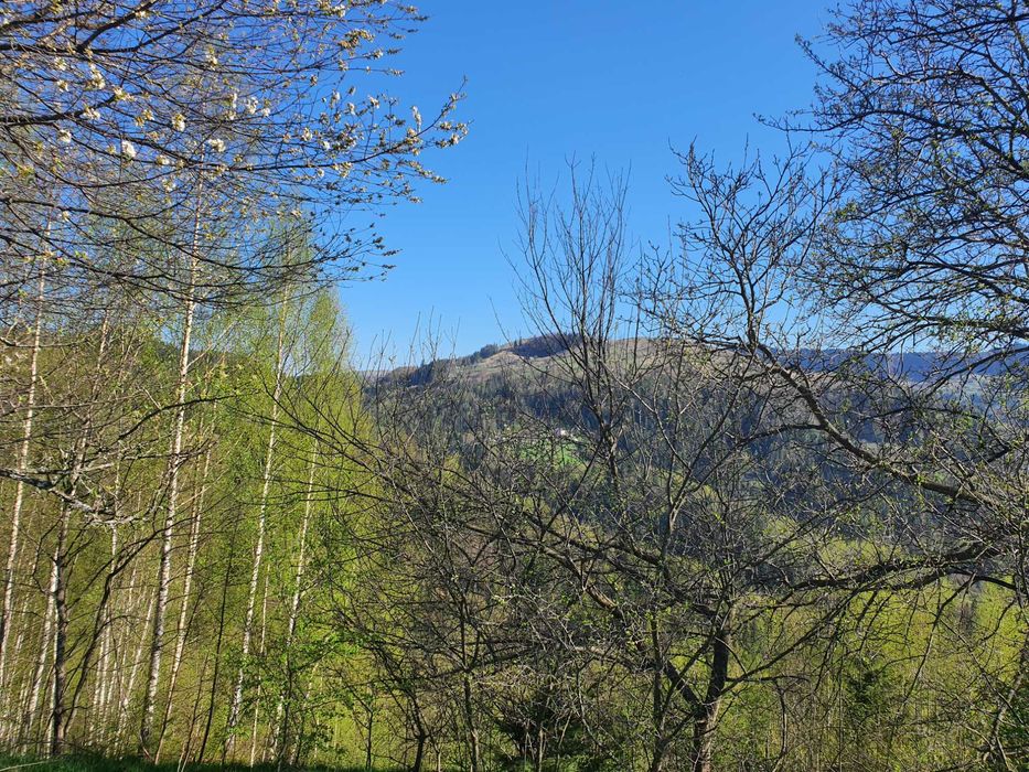 Продам землю в Яворові: 3 га та 25 соток