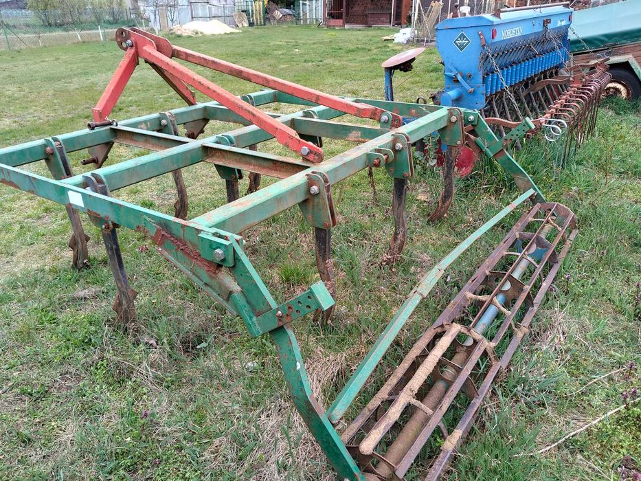 Gruber ścierniskowy