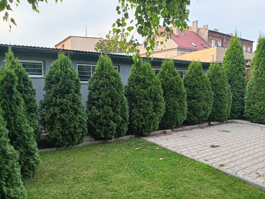 Działka Rekreacyjna Kalisz