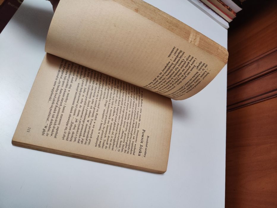 Góra czterech wiatrów - Maria Kann "x