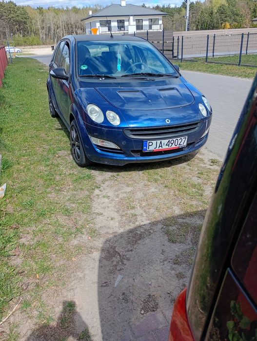 Smart Forfour Smart ForFur Pulse