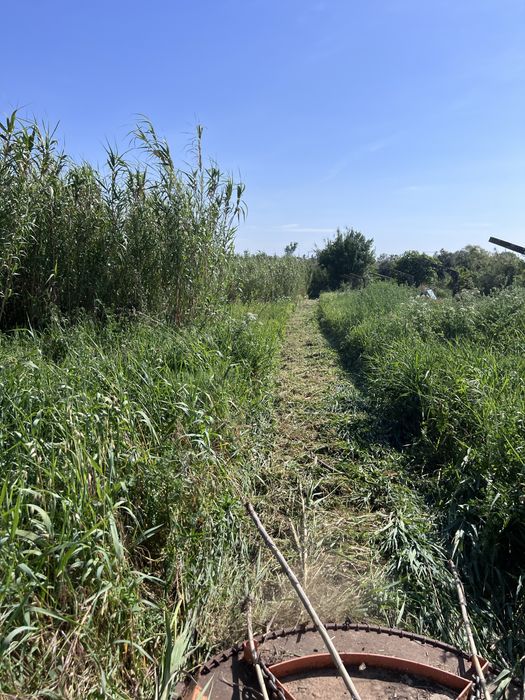 Limpezas de terrenos