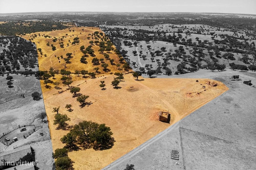 Herdade Com 40 Hectares No Coração Do Alentejo | Agua Salgada/Alcaria