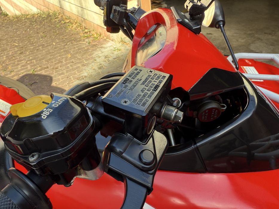 Honda Rincon Fourtrax 650