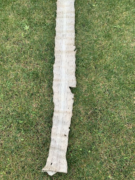 Pele de cobra 2.90 metros