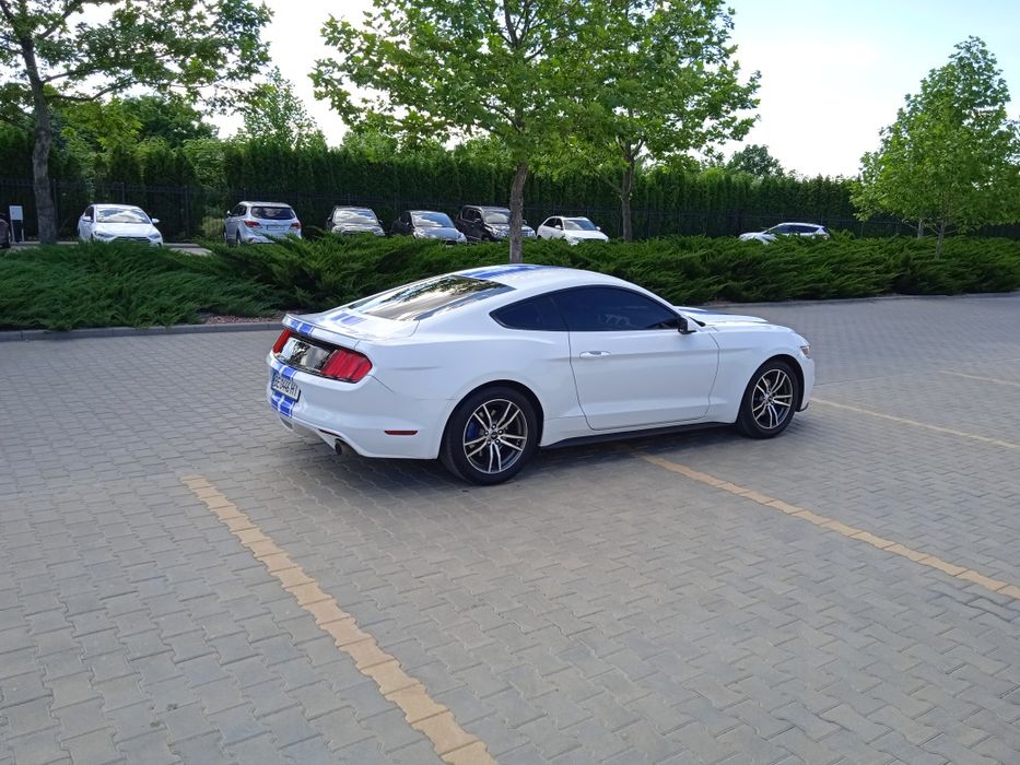 Ford  Mustang   2017